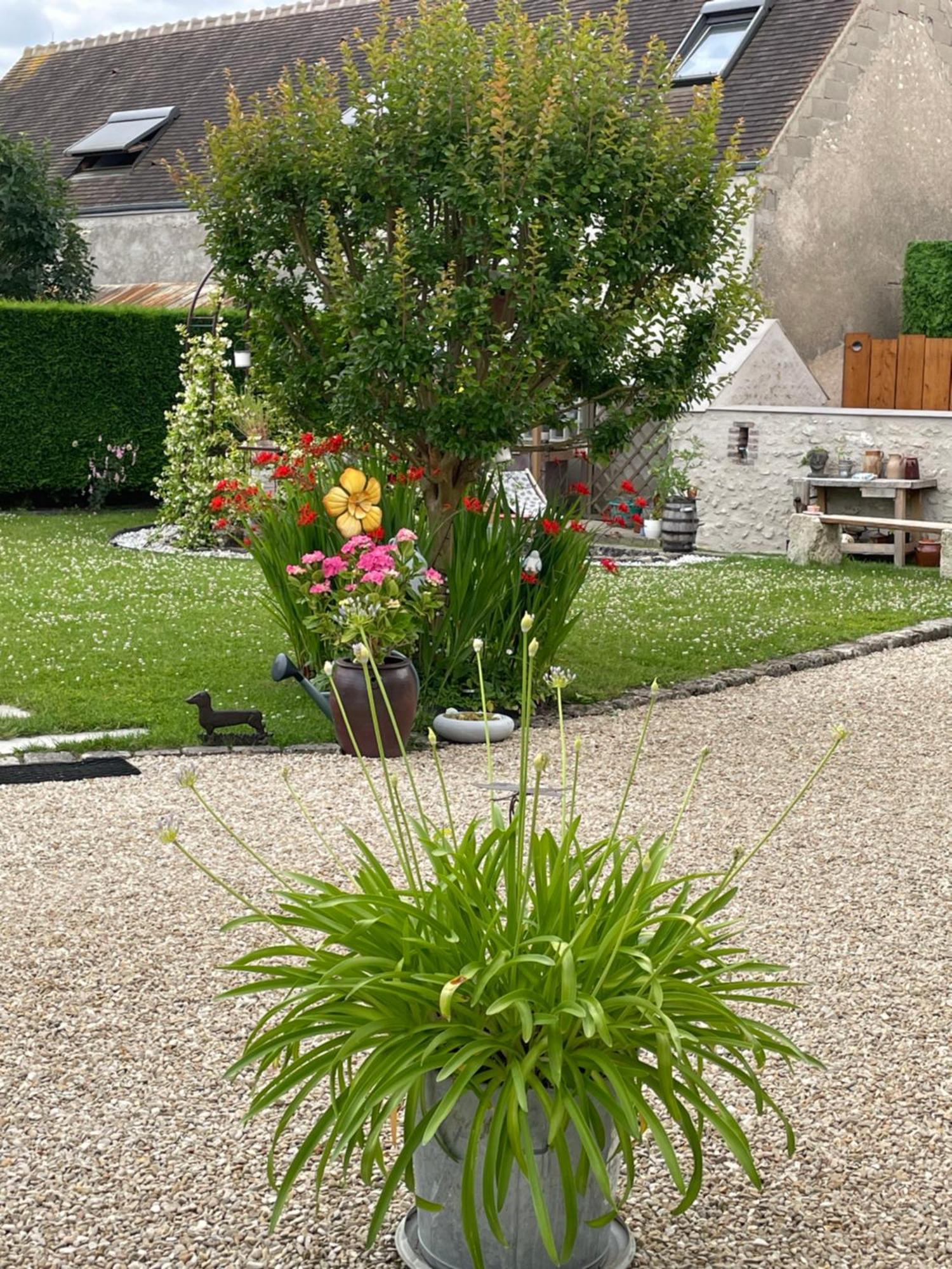 Le Clos Du Q'Hatre Cléry-Saint-André エクステリア 写真